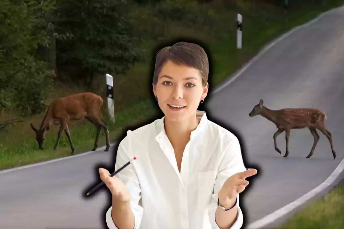 Una persona con camisa blanca y un lápiz en la mano está superpuesta sobre una imagen de dos ciervos cruzando una carretera rodeada de vegetación.