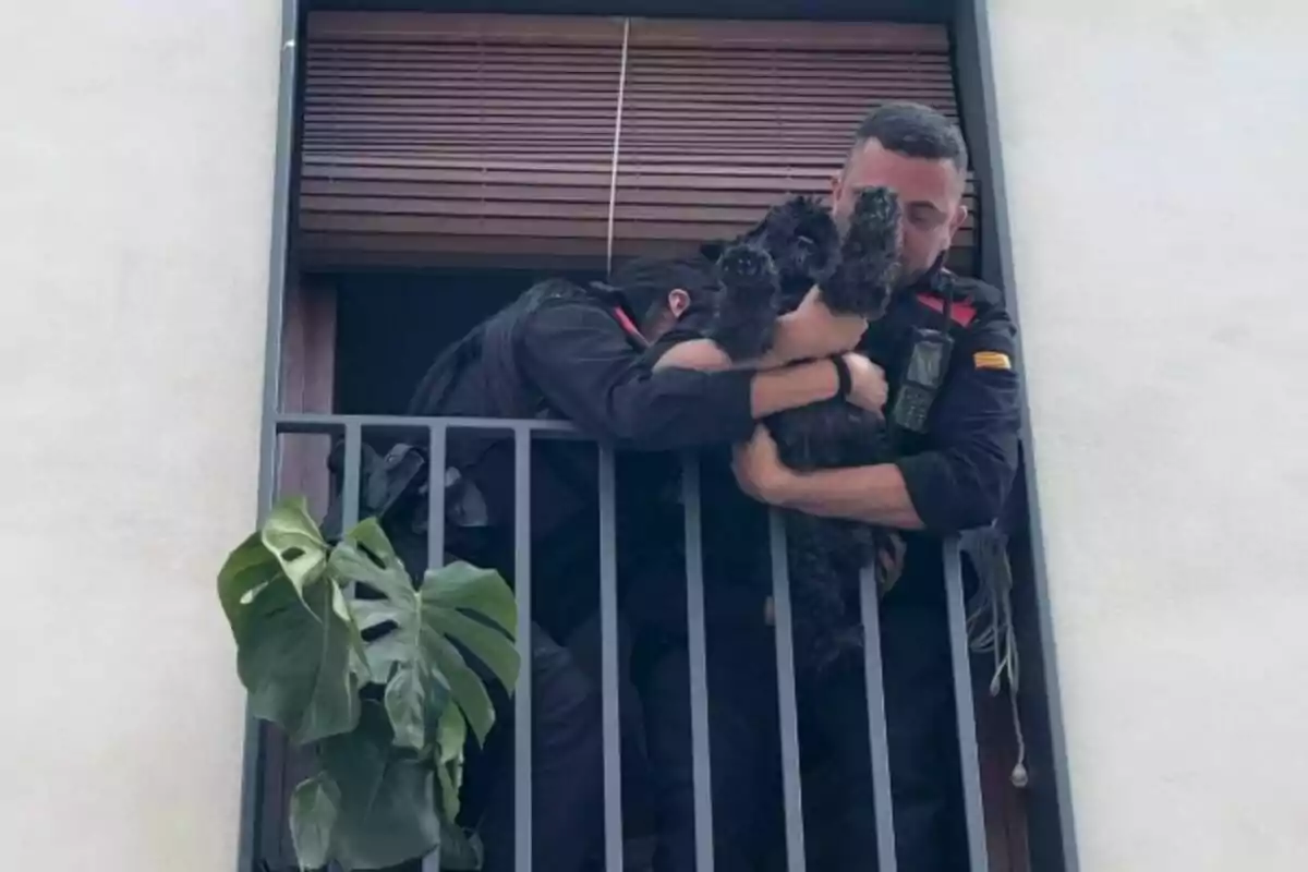 Dues persones uniformades són en un balcó rescatant un gos negre mentre una planta penja del costat esquerre.