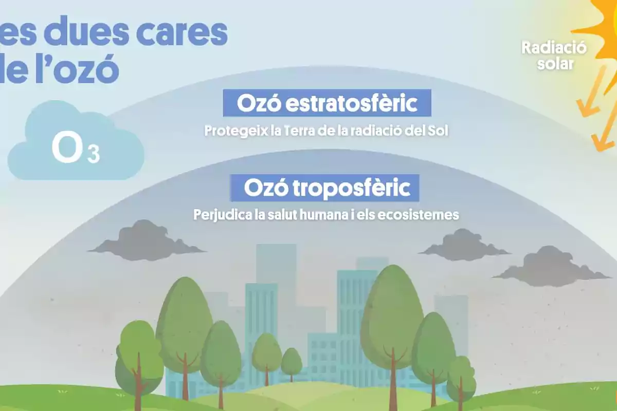 Explicació dels riscos de l’ozó troposfèric Explicació dels riscos de l’ozó troposfèric