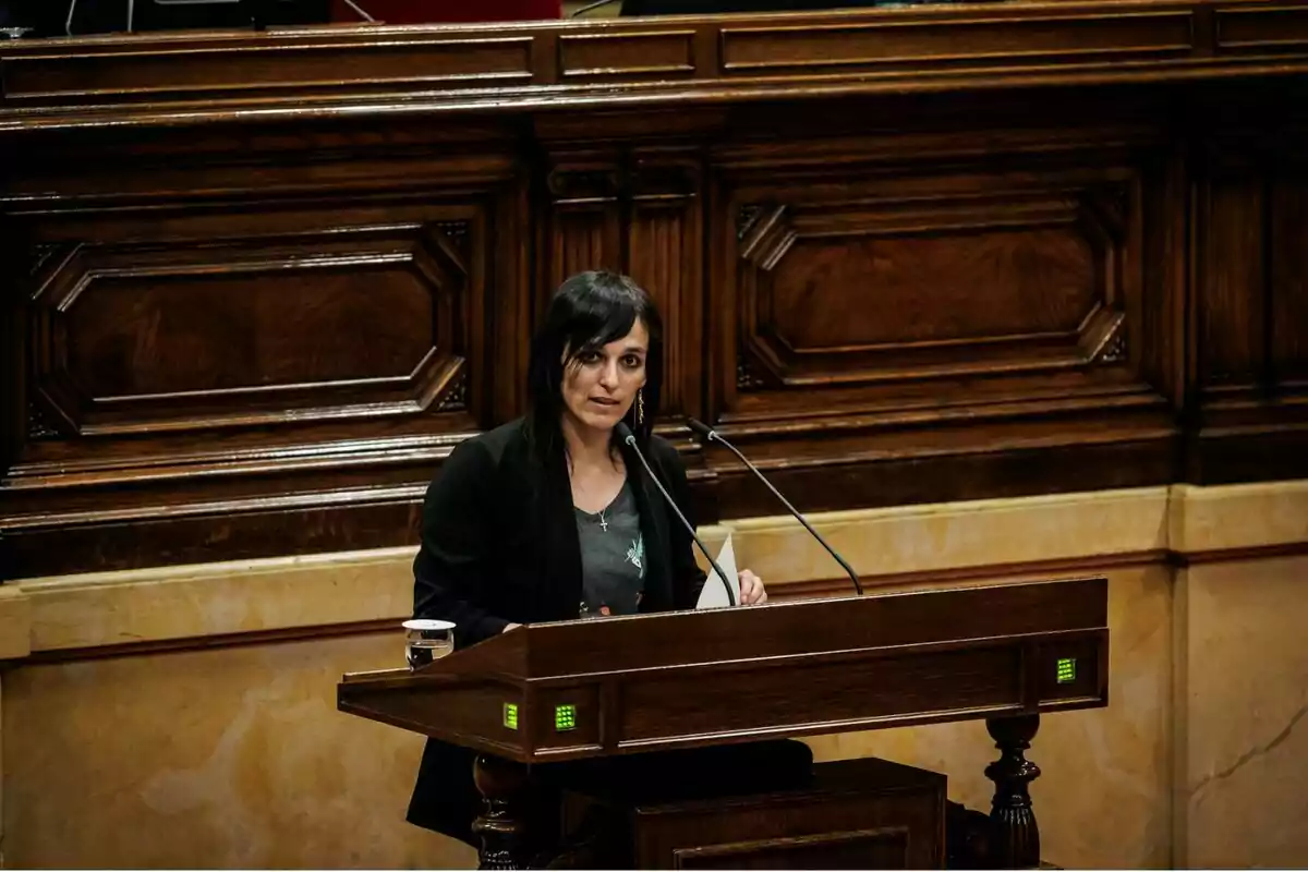 Una persona parlant en un faristol de fusta en un entorn formal. Una persona parlant en un faristol de fusta en un entorn formal.
