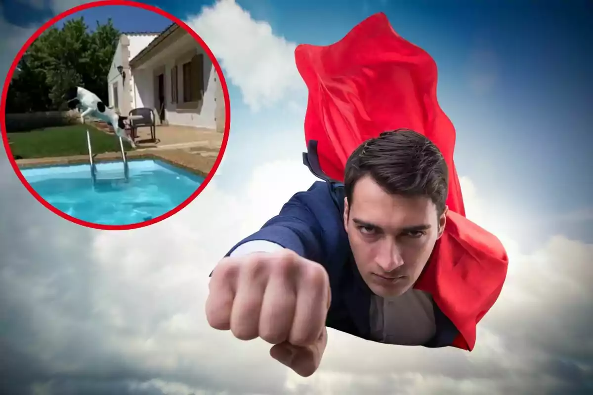 Un hombre disfrazado de superhéroe vuela por el cielo mientras en un círculo rojo se muestra un perro saltando a una piscina.