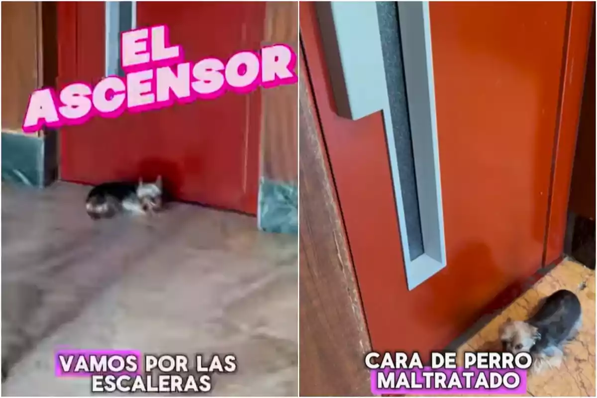 Capturas de un vídeo de Instagram