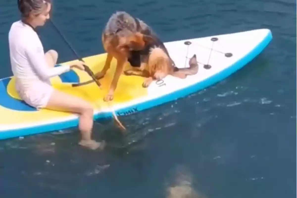 Una persona en una taula de pàdel surf al costat dun gos pastor alemany a laigua.