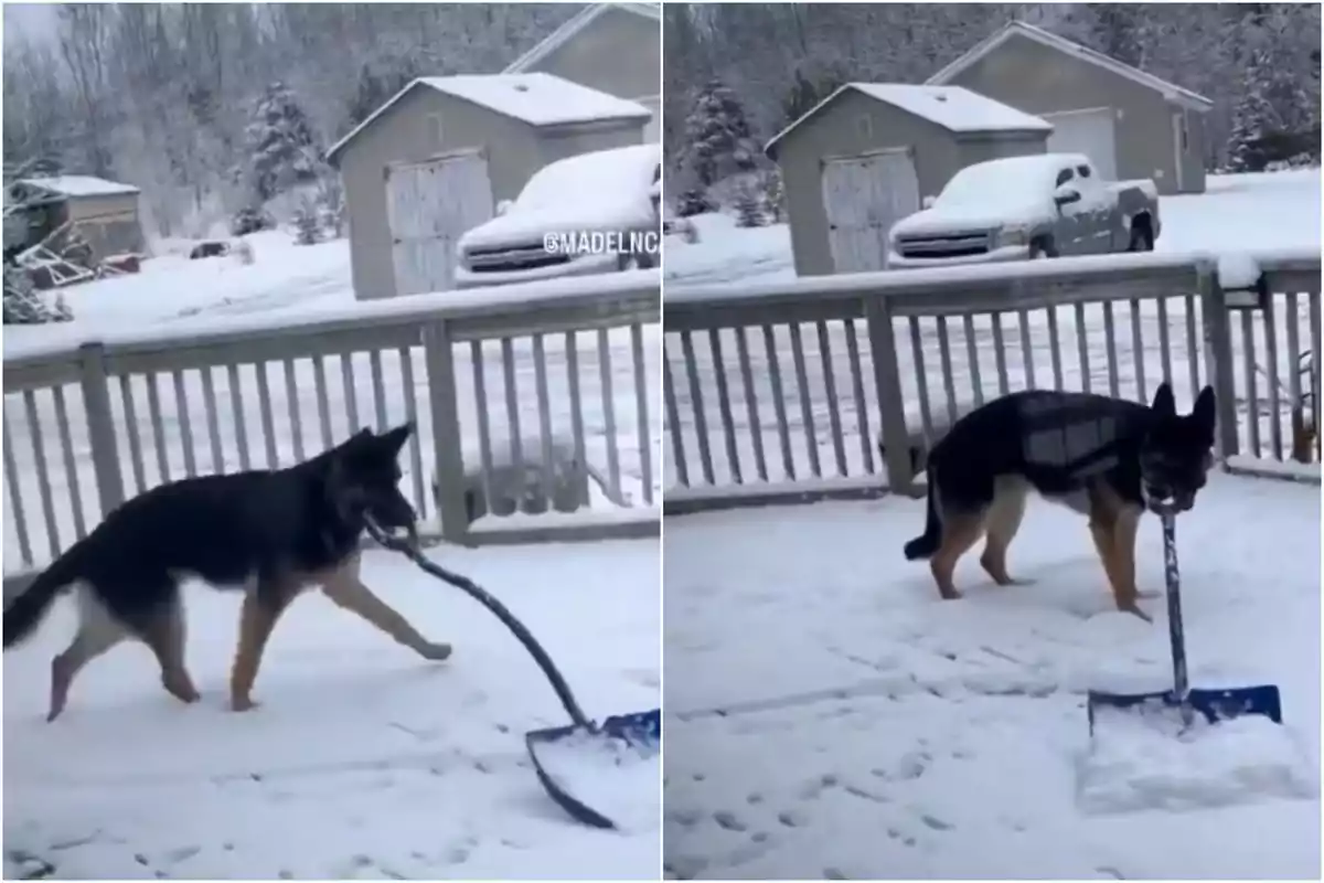 Capturas de un vídeo viral