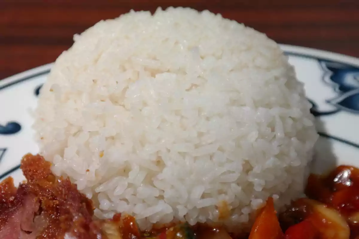 Un plato de arroz blanco acompañado de carne y verduras en salsa