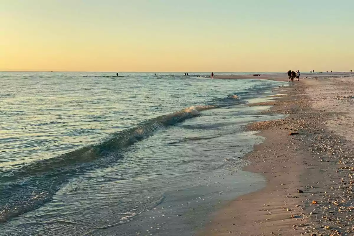 Platja al vespre amb onades suaus i persones caminant a la riba.