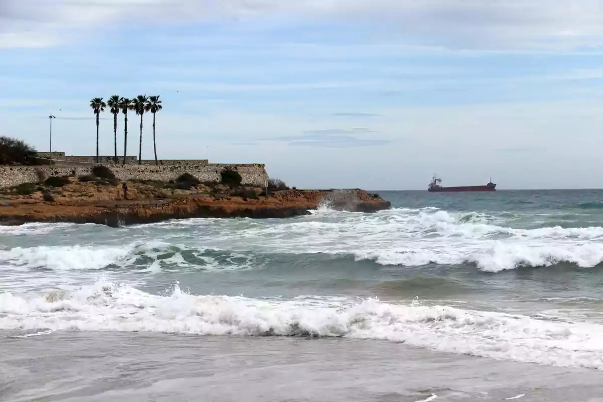 Una platja amb onades trencant a la riba, un penya-segat amb palmeres i un vaixell a l'horitzó.