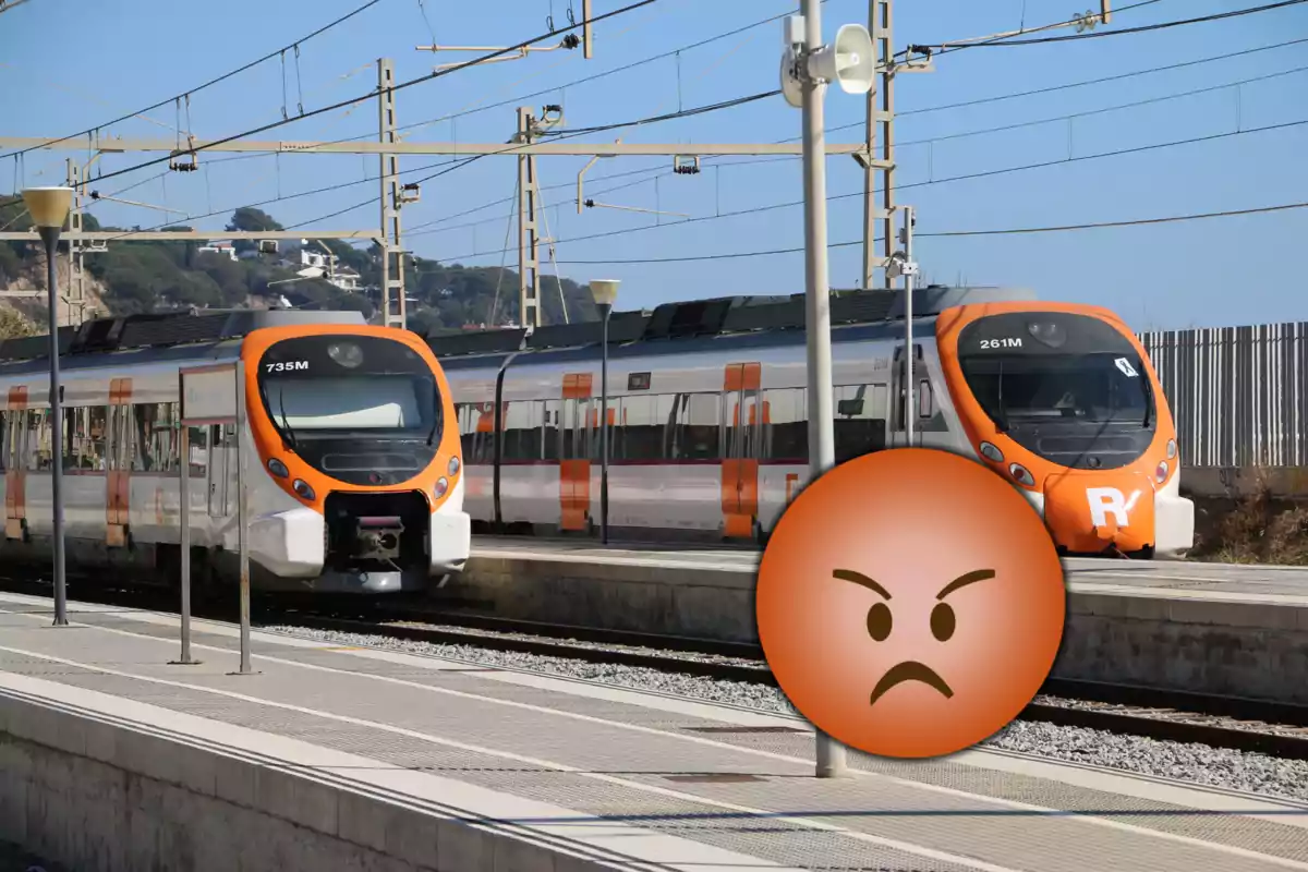 Dos trens de Rodalies en una estació