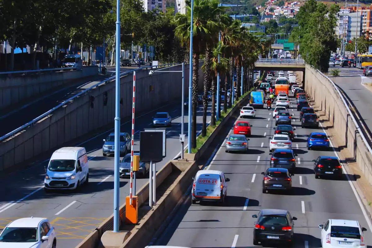 Una carretera urbana amb trànsit dens, on s'observen diversos carrils plens de vehicles, palmeres al separador central i edificis al fons.