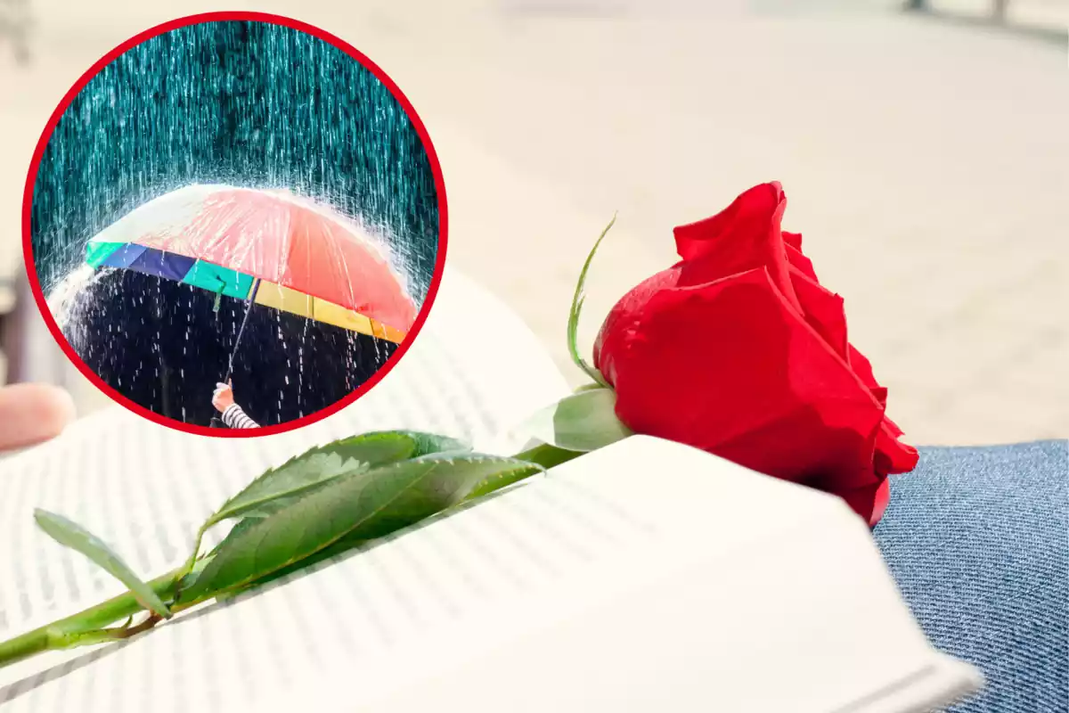 Muntatge amb imatge d'una rosa i un llibre. A l'esquerra una imatge amb una persona subjectant un paraigua sota la pluja