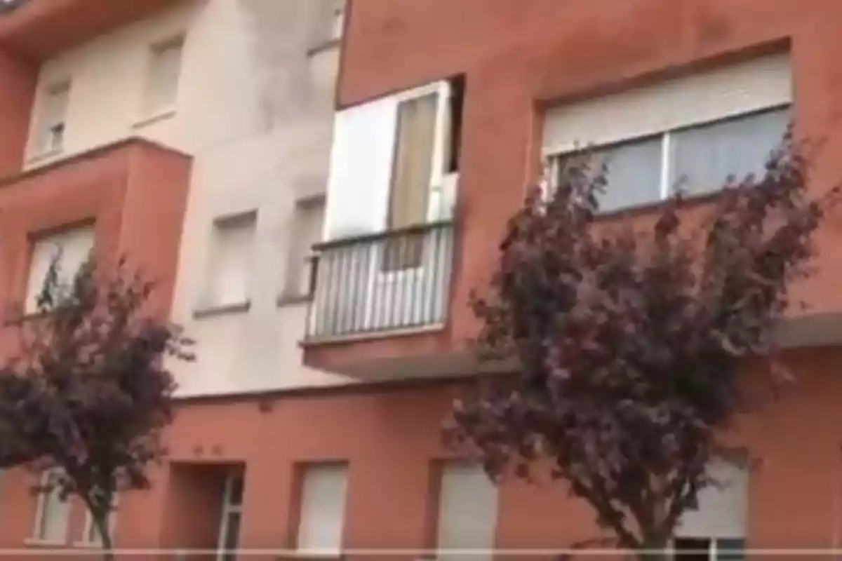 Edifici d'apartaments de maó vermell amb balcons i arbres a la vorera.