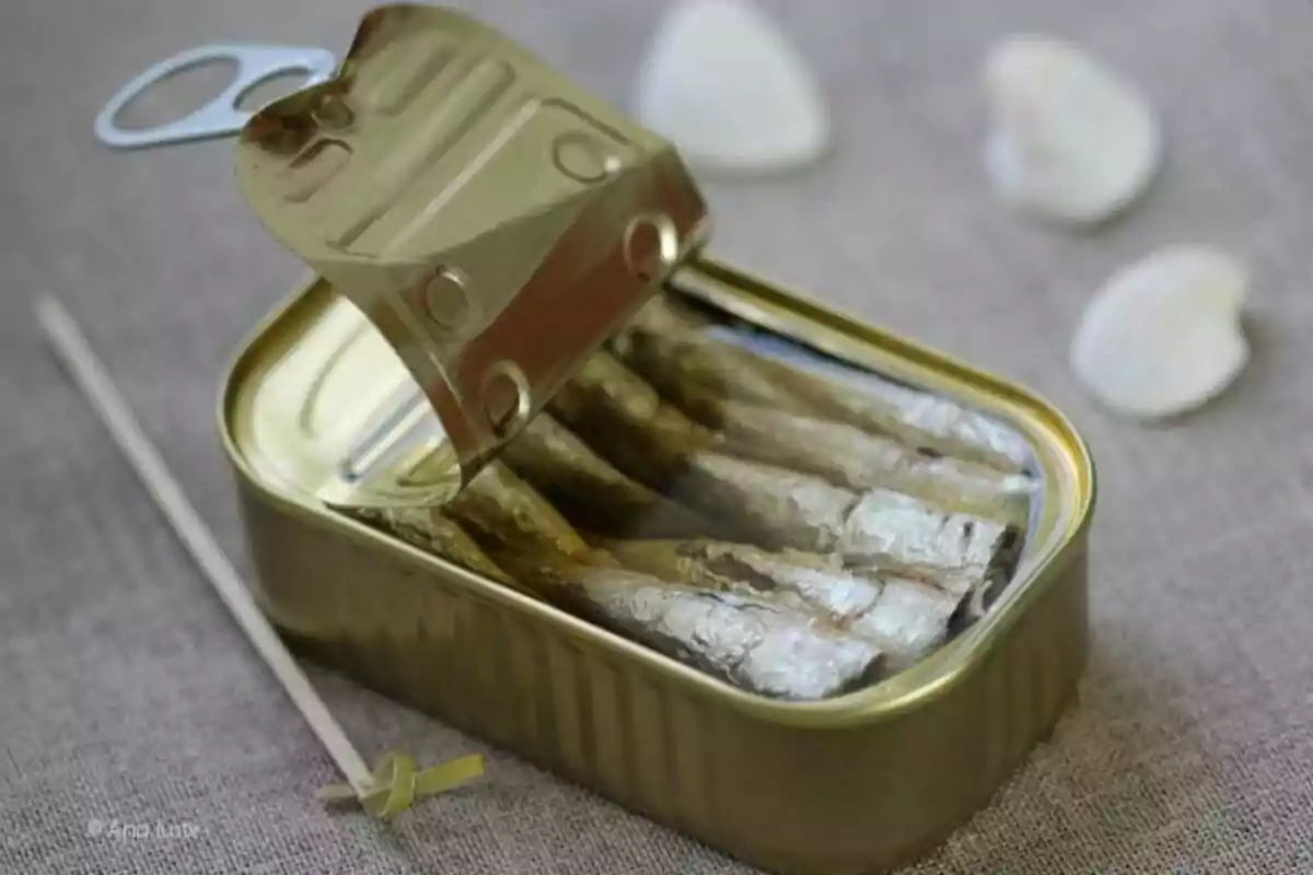 Llauna de sardines oberta sobre una superfície de tela amb petxines marines al fons.