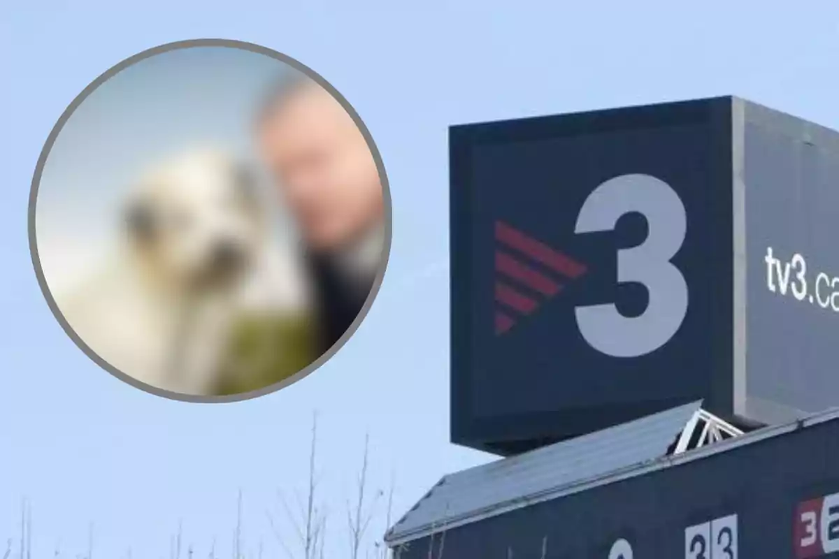 Un edificio con el logotipo de TV3 y una imagen borrosa de un perro y una persona en un círculo.