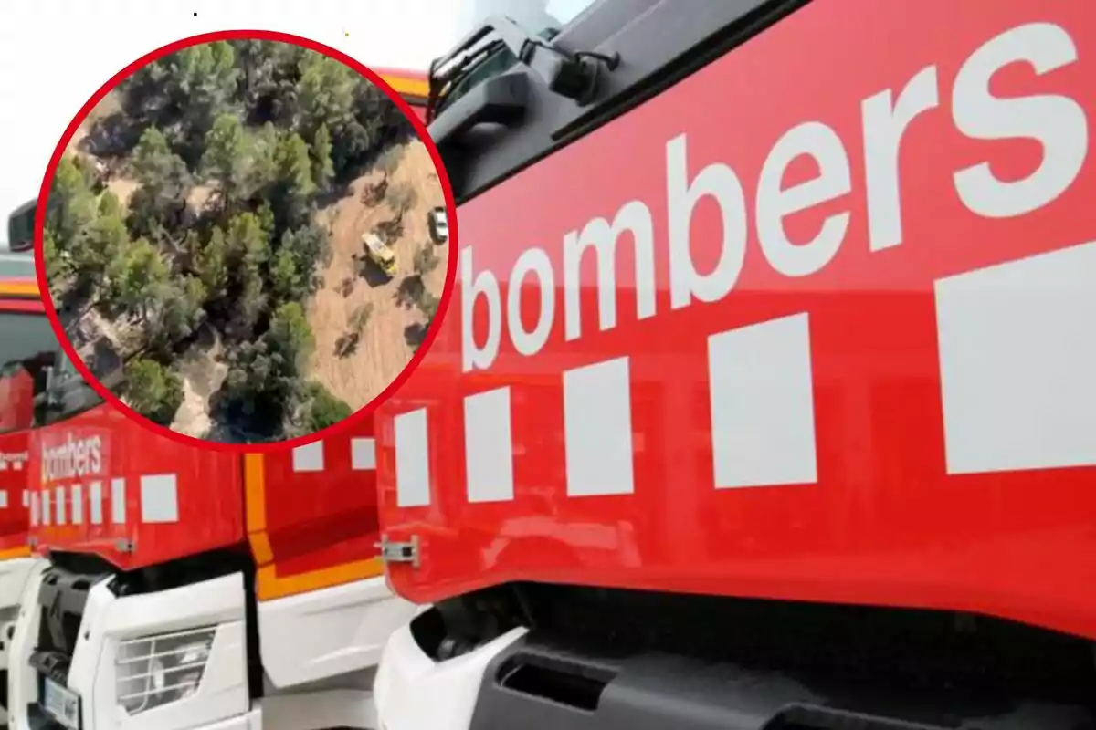 Camions de bombers amb un requadre que mostra una àrea forestal.