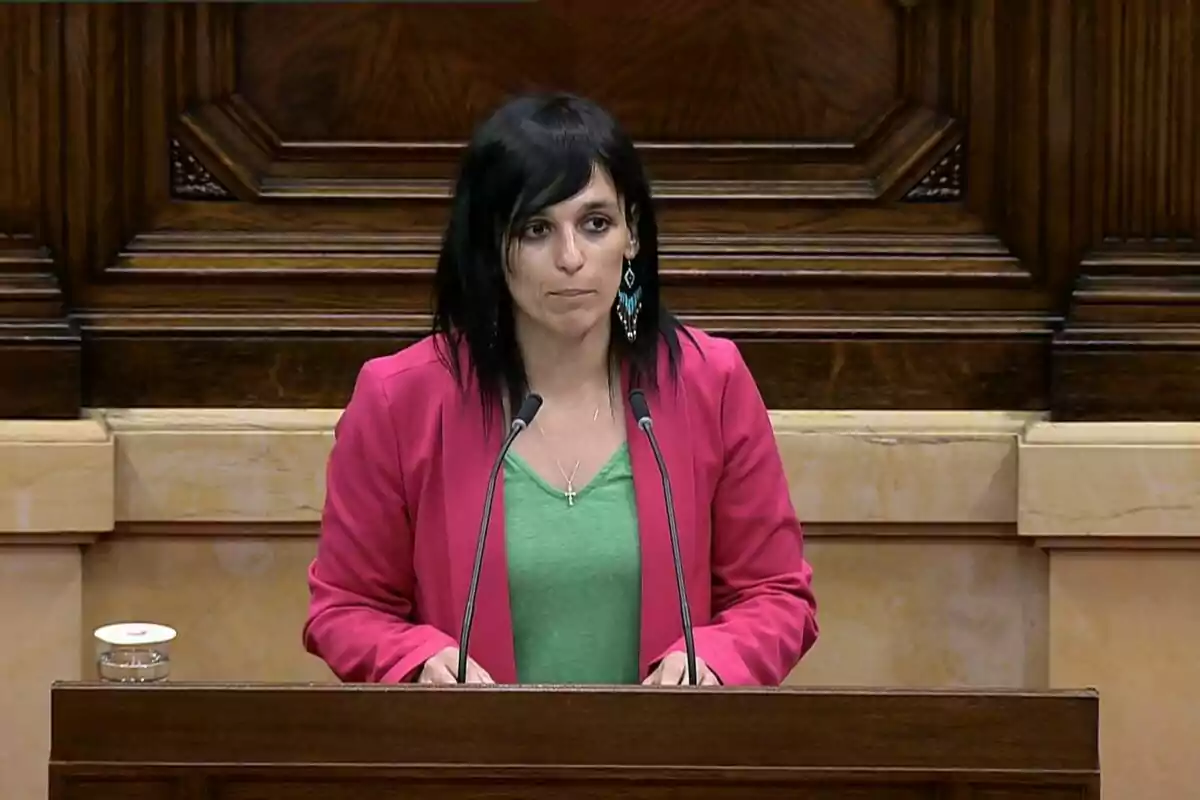 Una persona amb jaqueta rosa i samarreta verda parla en un faristol de fusta amb micròfons.
