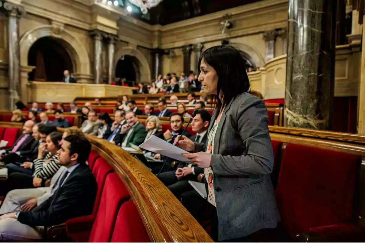 Una persona dreta amb papers a la mà parla en un parlament ple de gent asseguda en bancs vermells.