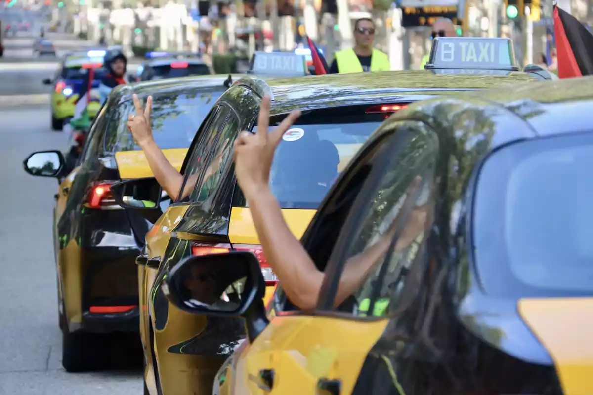 Una fila de taxis amarillos y negros circula por una calle, con personas sacando las manos por las ventanas y haciendo el signo de la paz.