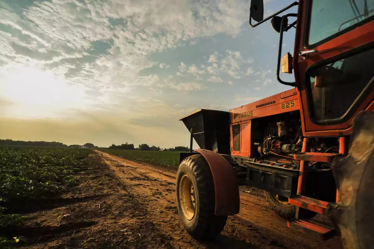 Tractor vermell en un camí de terra al costat d'un camp sota un cel parcialment ennuvolat al capvespre