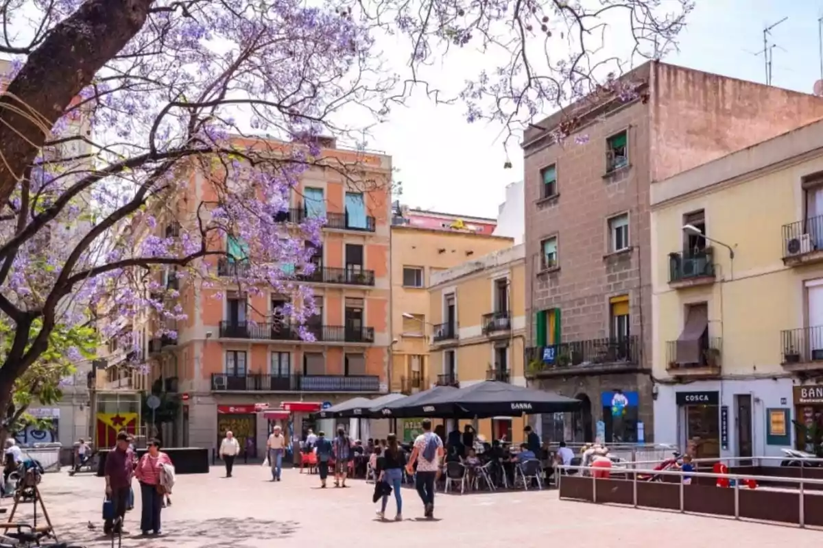 Una plaça amb arbres florits, edificis colorits i persones caminant i assegudes en una terrassa.