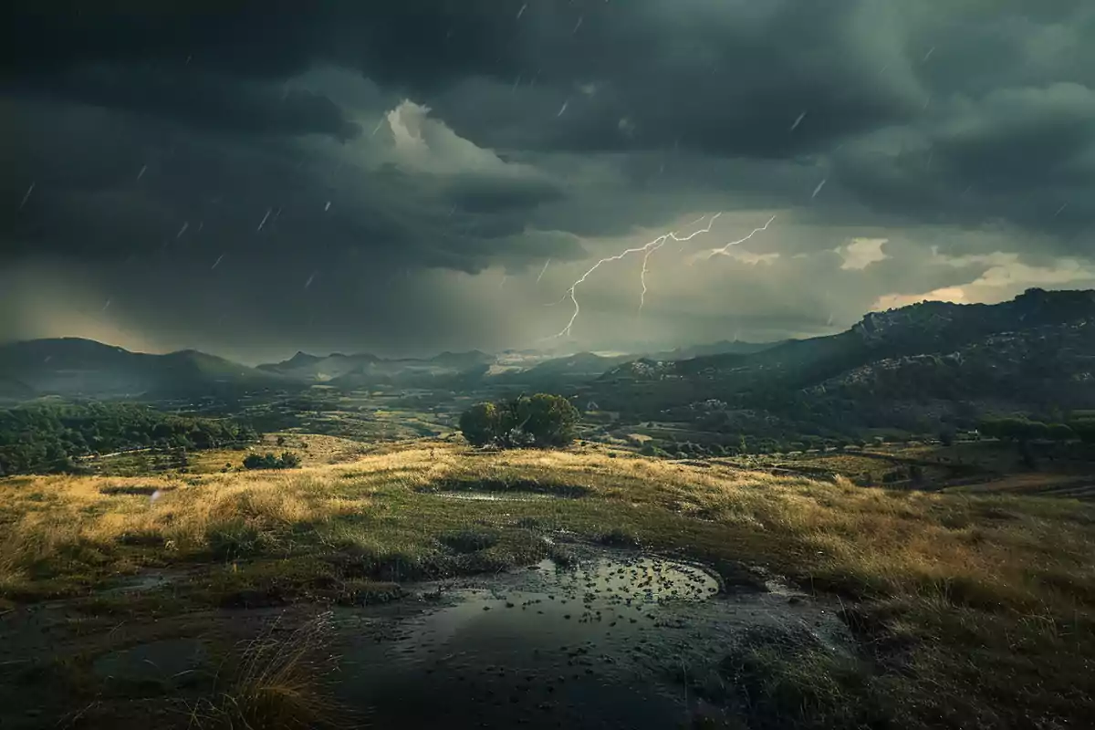 Un paisatge muntanyós sota un cel tempestuós amb llamps i pluja, on s'observa un camp amb bassals d'aigua i un arbre solitari al centre.