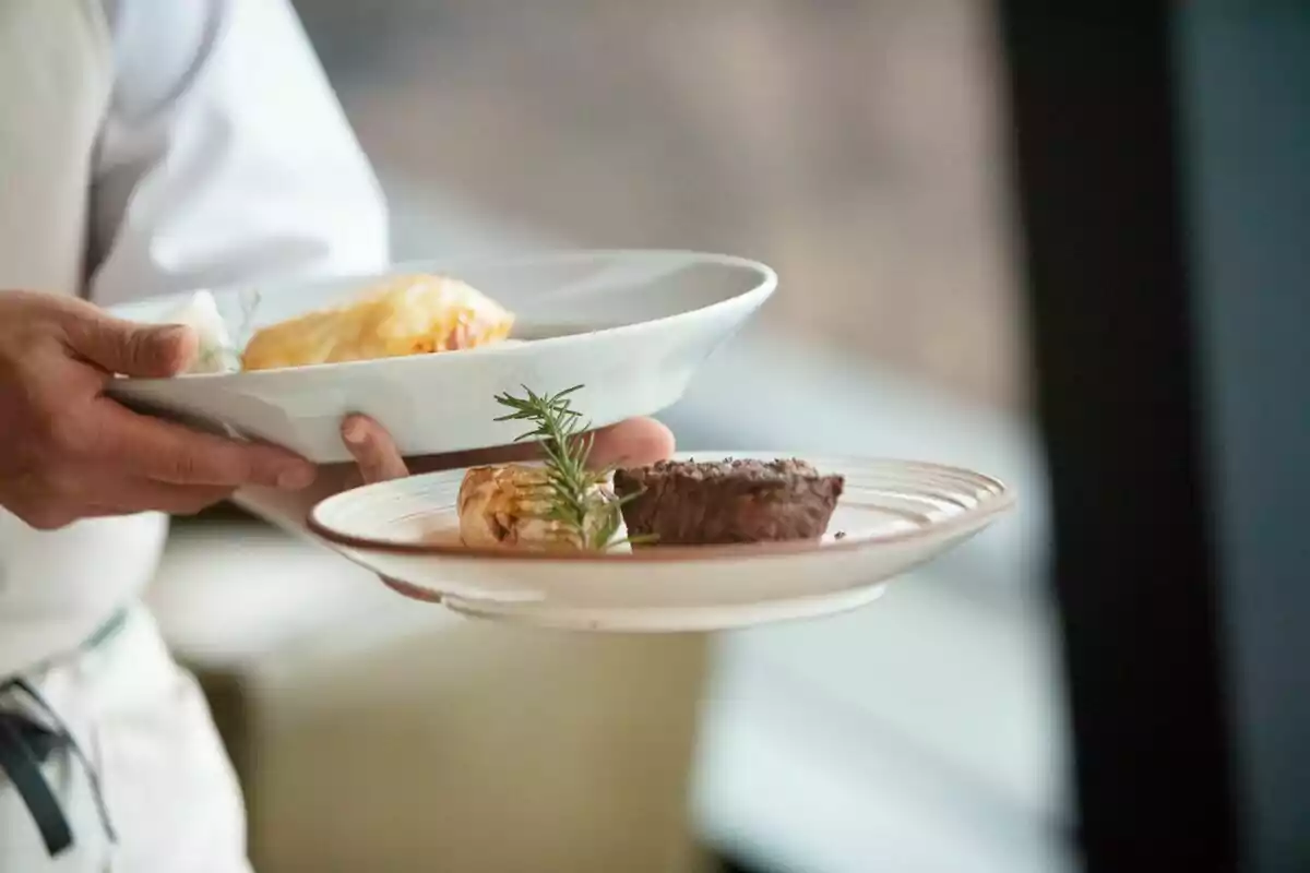 Una persona sostenint dos plats de menjar, un amb un filet i una guarnició, i l'altre amb un pastís daurat.