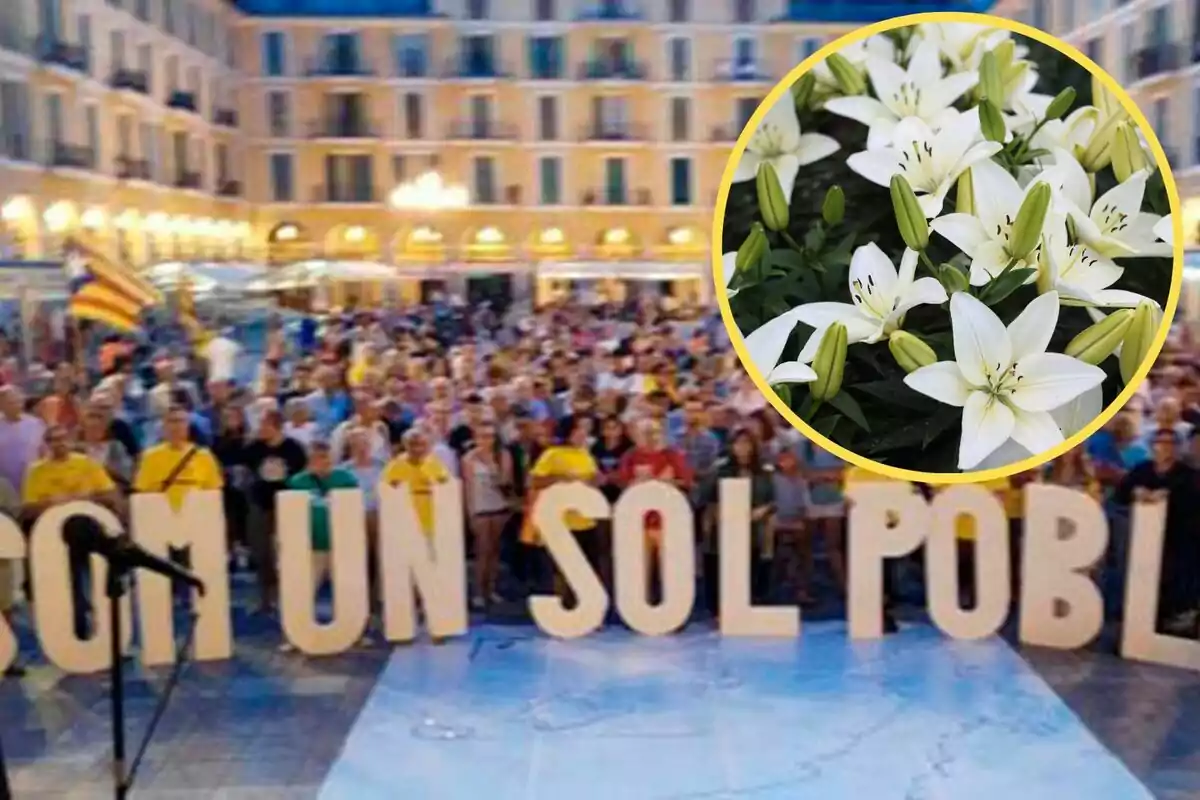 Una multitud es reuneix en una plaça sostenint lletres grans que formen un missatge, amb una imatge de flors blanques en un cercle groc superposada a la cantonada superior dreta.