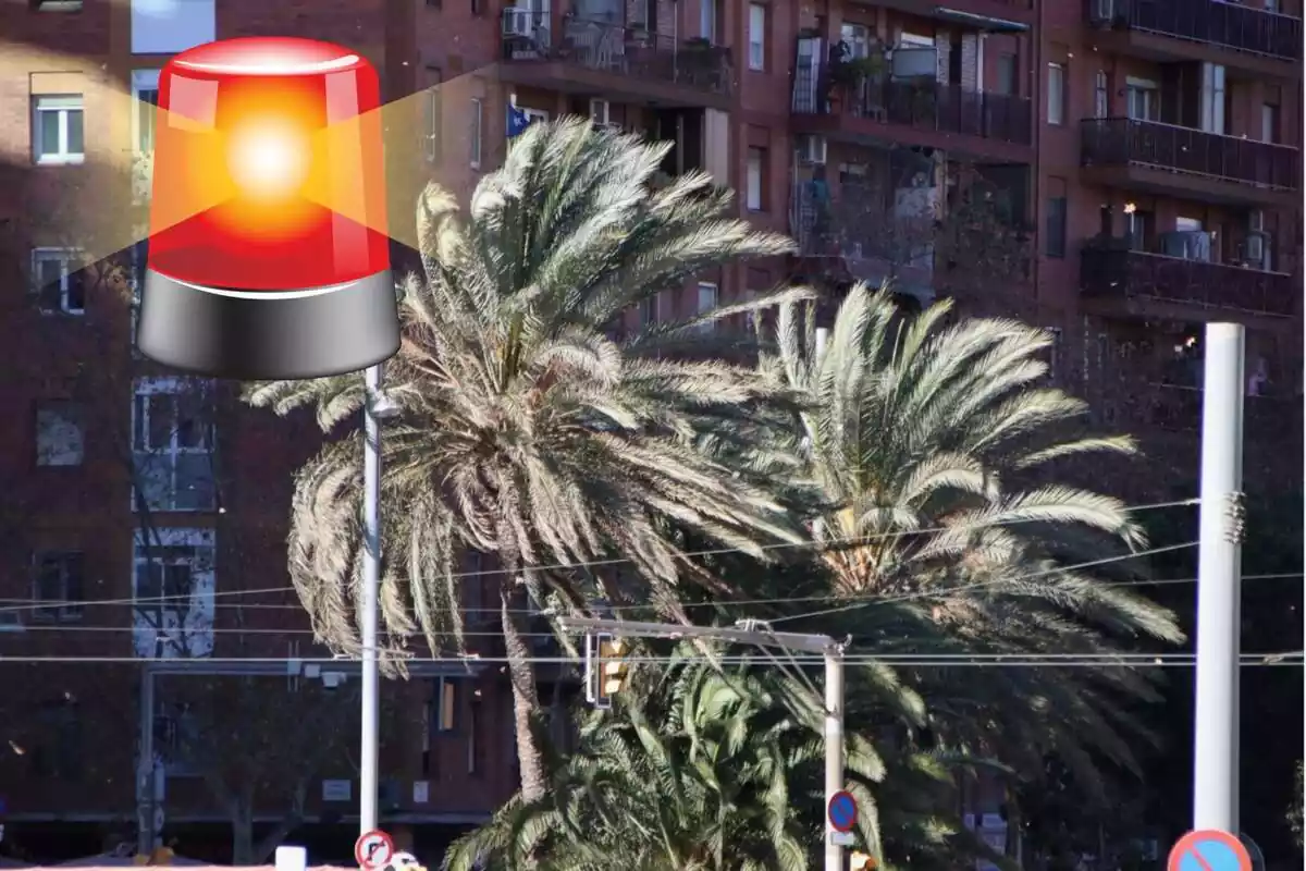 Muntatge amb una imatge de palmeres assotades pel vent. A la cantonada superior esquerra una sirena d'emergències