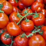 Tomàquets de sucar pà